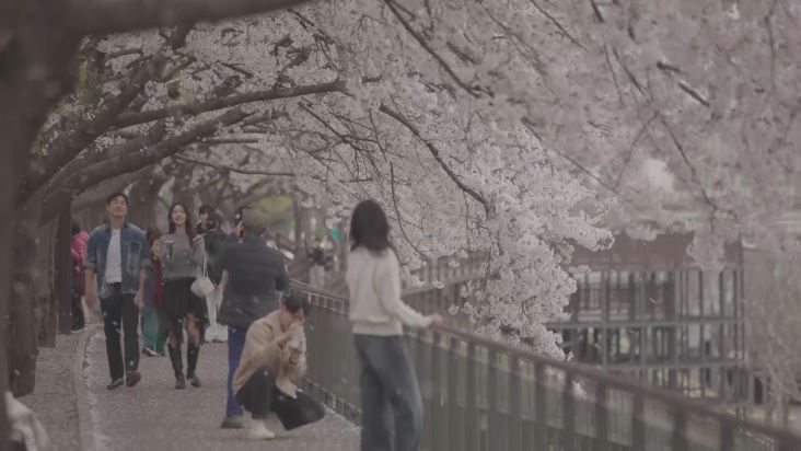 본문 이미지 - 채널A