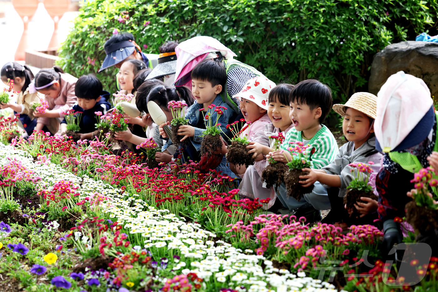 (광주=뉴스1) 박지현 기자 = 28일 광주 북구청 광장에서 공원녹지과 직원들과 북구청 어린이집 아이들이 메리골드, 백일홍 등 여름꽃을 식재하고 있다. (광주 북구 제공. 재판매 …