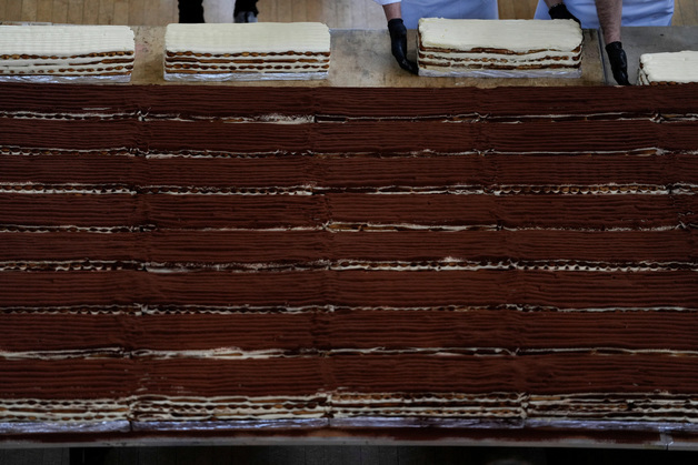 '440m' 세계 최장 티라미수 만들었다…이탈리아 셰프 100명 협업