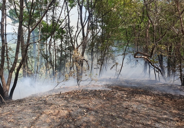 나흘 전 산불 공주 계룡면서 재발화…20여분 만에 주불 진화