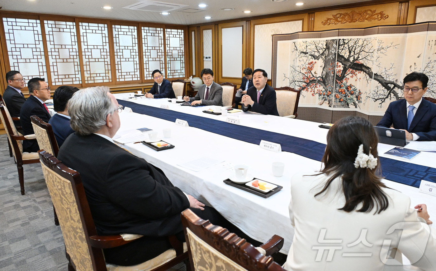 (서울=뉴스1) = 구윤철 부총리 겸 재정경제부 장관이 28일 서울 종로구 정부서울청사에서 주한미국상공회의소(AMCHAM) 제임스 김 회장 및 대표단과 면담을 하고 있다. (재정경 …