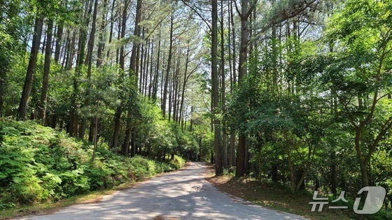 임업 단체들 "220만 산주·74만 임업인 숙원 '임도설치법' 환영"