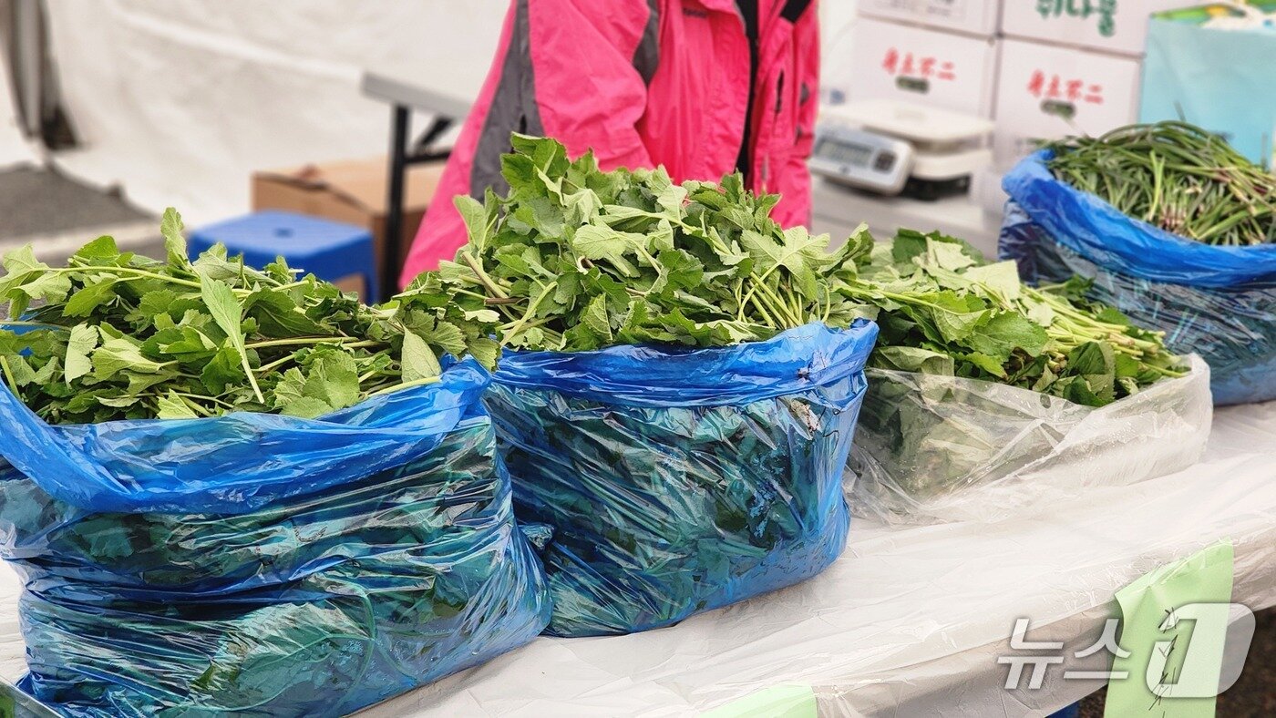 본문 이미지 - 홍천 산나물축제 자료사진.(홍천군 제공. 재판매 및 DB금지)/뉴스1