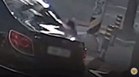 본문 이미지 - 경찰청 유튜브