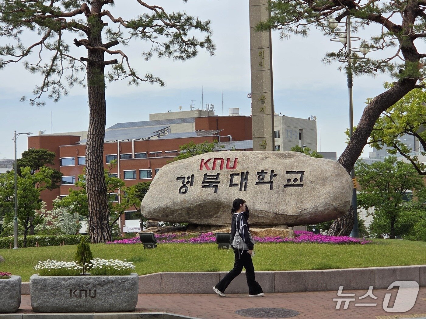 본문 이미지 - 대구 소재 경북대학교. 2026.4.28 ⓒ 뉴스1 장시온 기자
