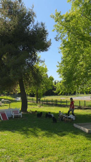 본문 이미지 - 로얄캐닌 펫센터 ⓒ 뉴스1