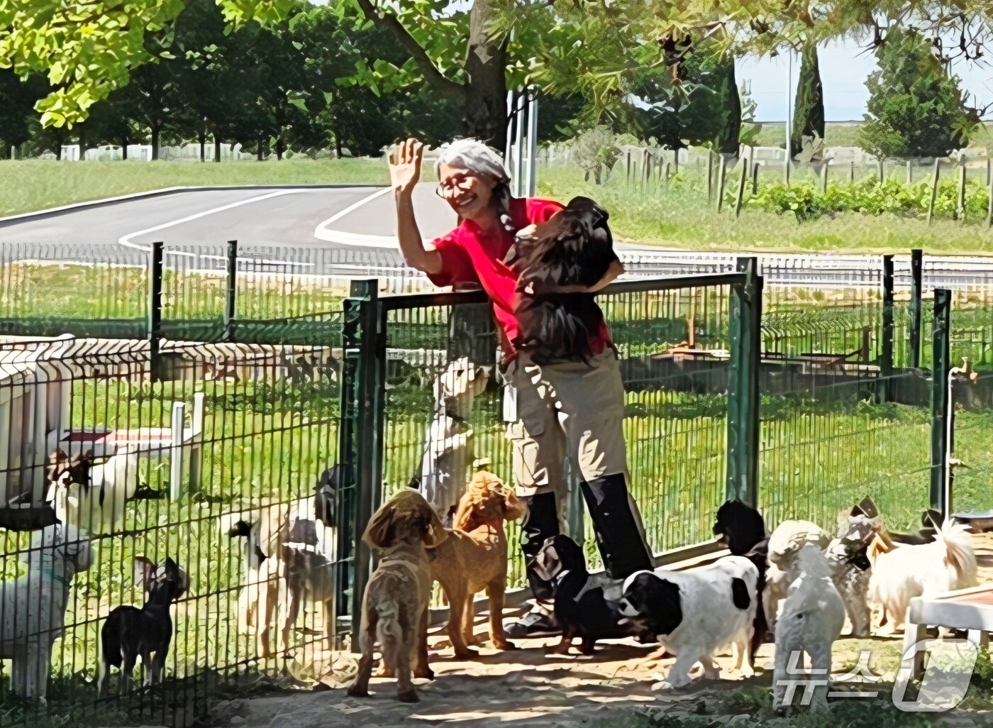 본문 이미지 - 로얄캐닌 펫센터에서 사료 소믈리에 개들을 돌보는 케어테이커 ⓒ 뉴스1