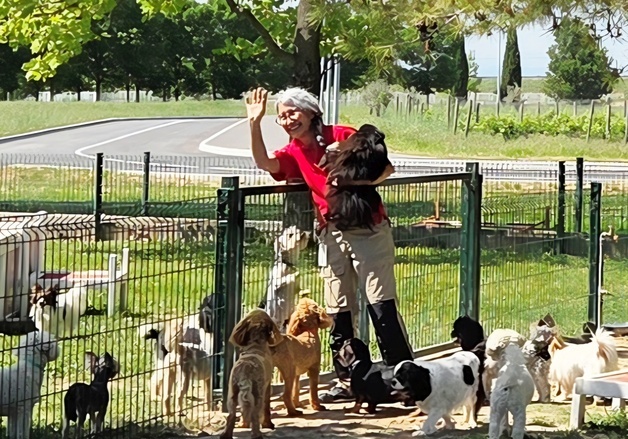 "역시 로얄캐닌"…사료 한알에 담은 과학, 400마리 개·고양이가 입증