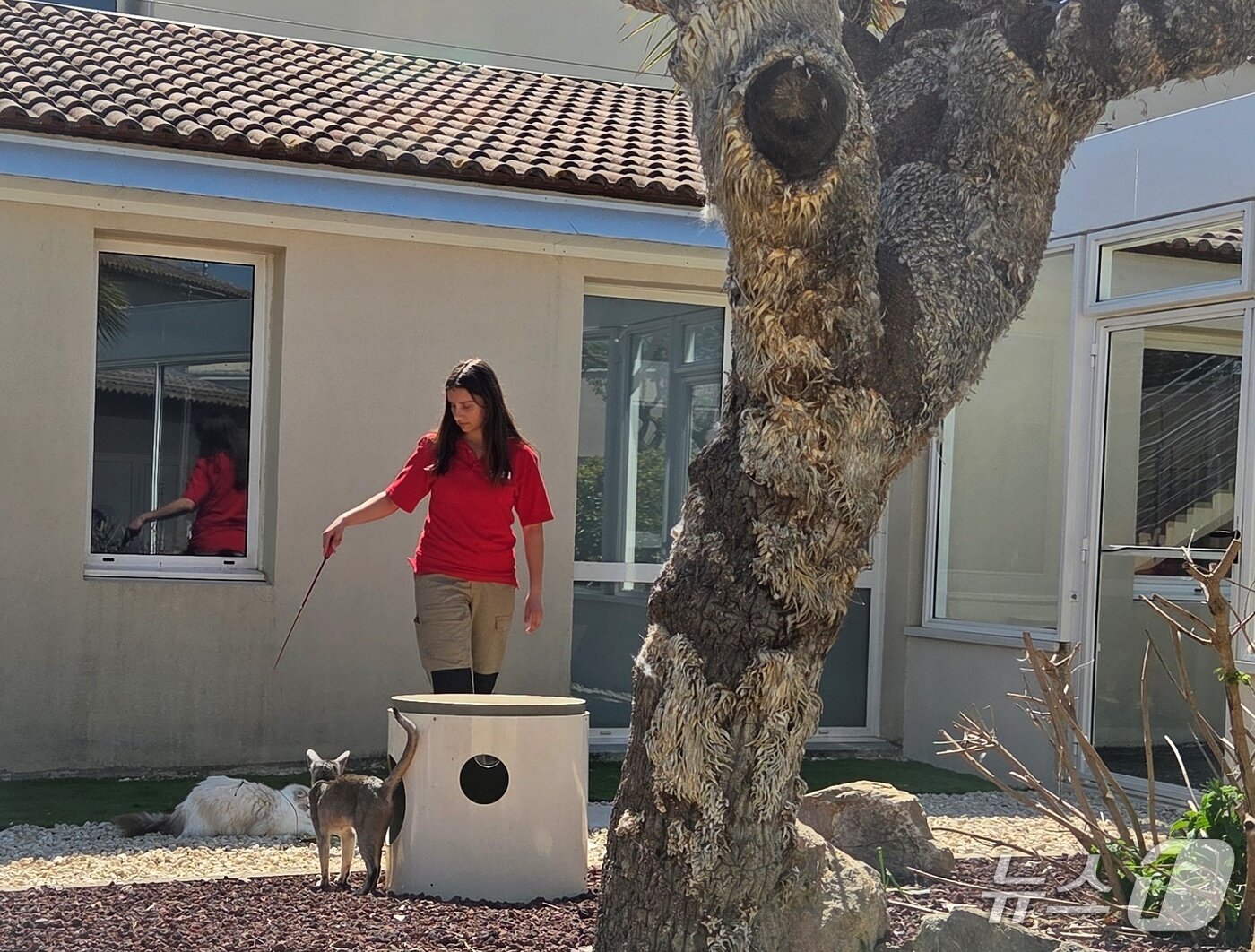 본문 이미지 - 로얄캐닌 펫센터에서 사료 소믈리에 개들을 돌보는 케어테이커 ⓒ 뉴스1
