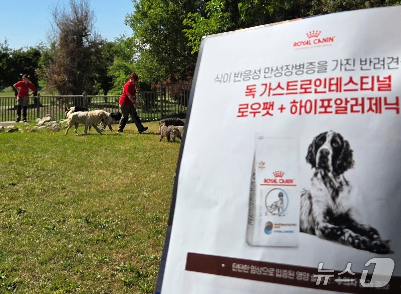본문 이미지 - 로얄캐닌 펫센터 전경 ⓒ 뉴스1