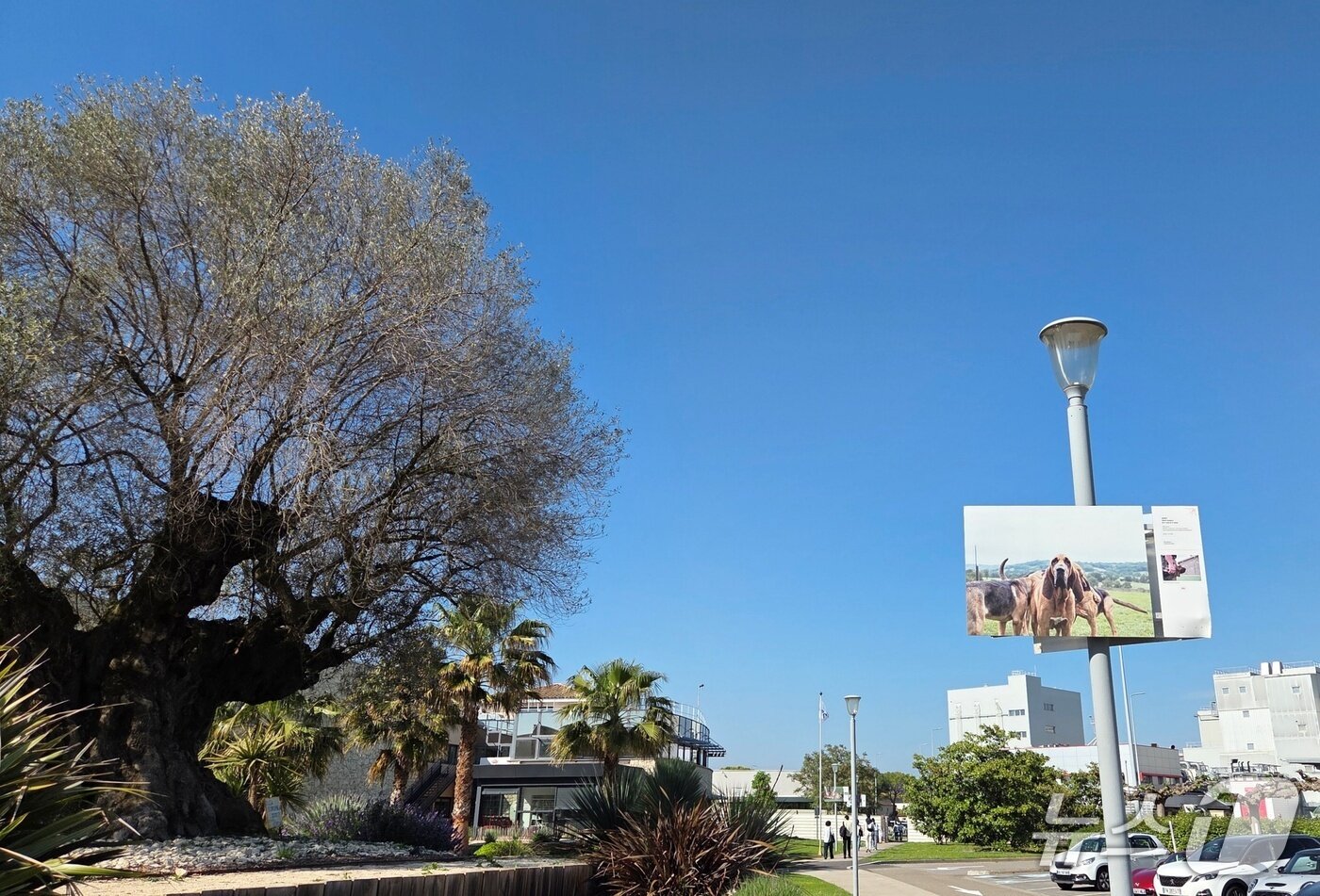 본문 이미지 - 로얄캐닌 펫센터 전경 ⓒ 뉴스1