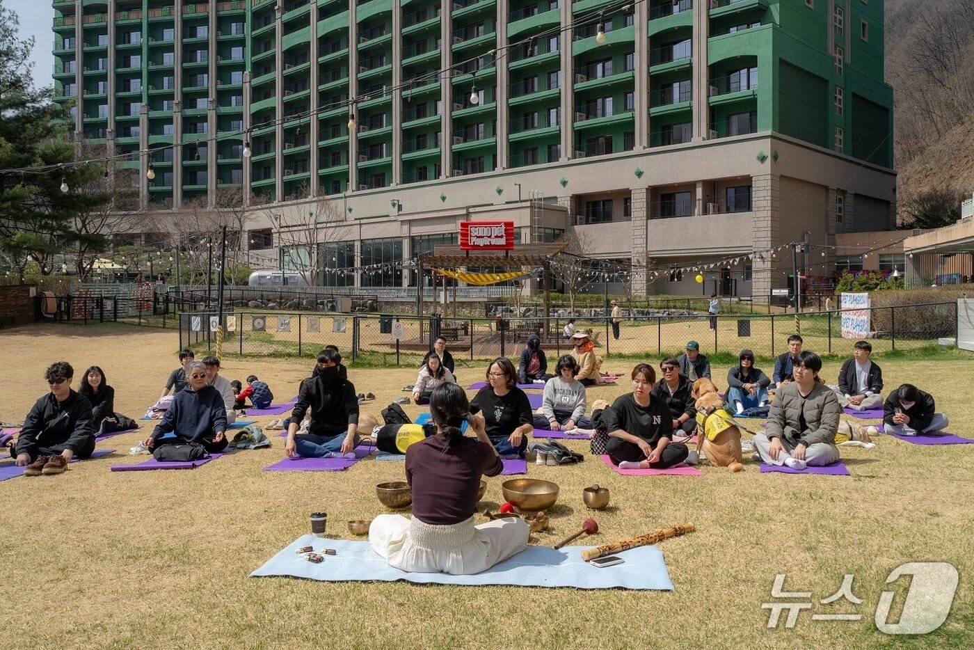 본문 이미지 - 소노수의재단은 소노펫클럽앤리조트에서 안내견 가족 초청 행사를 진행했다(재단 제공). ⓒ 뉴스1