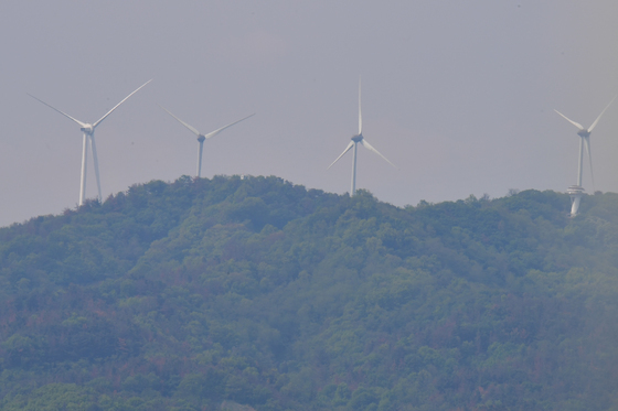 송화가루가 가득