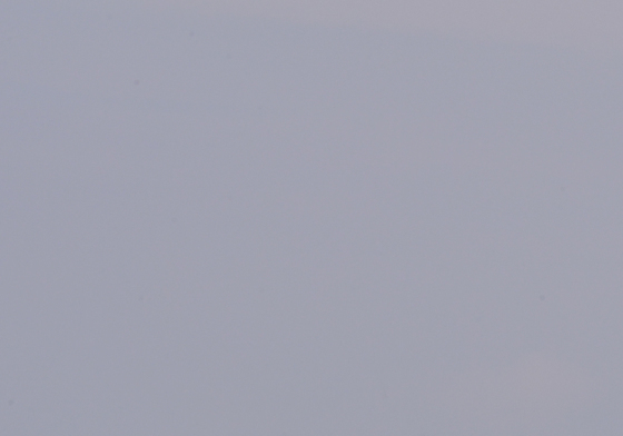 송화가루 때문에