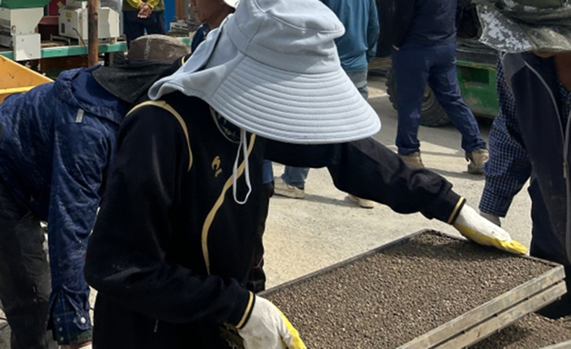 포항시, 동남아 쌀 '케이롱·아미면' 시범 재배…10월 수확