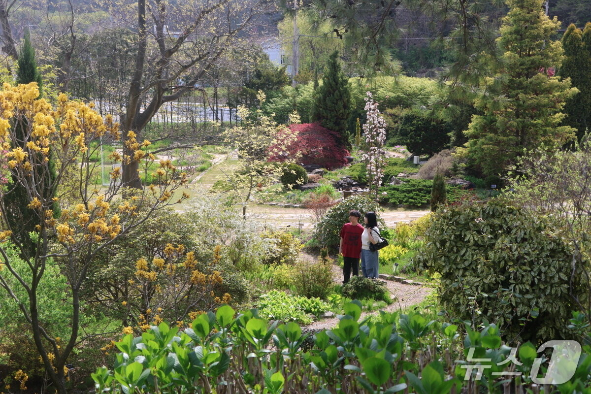 본문 이미지 - 지난 28일 천리포수목원을 방문한 탐방객이 봄 기운이 완연한 산책로를 거닐고 있다.(수목원 제공. 재판매 및 DB금지)2026.4.29/뉴스1