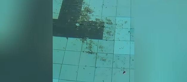 中 임대분쟁 황당복수…건물주 소유 수영장 물에 훠궈 양념 풀어