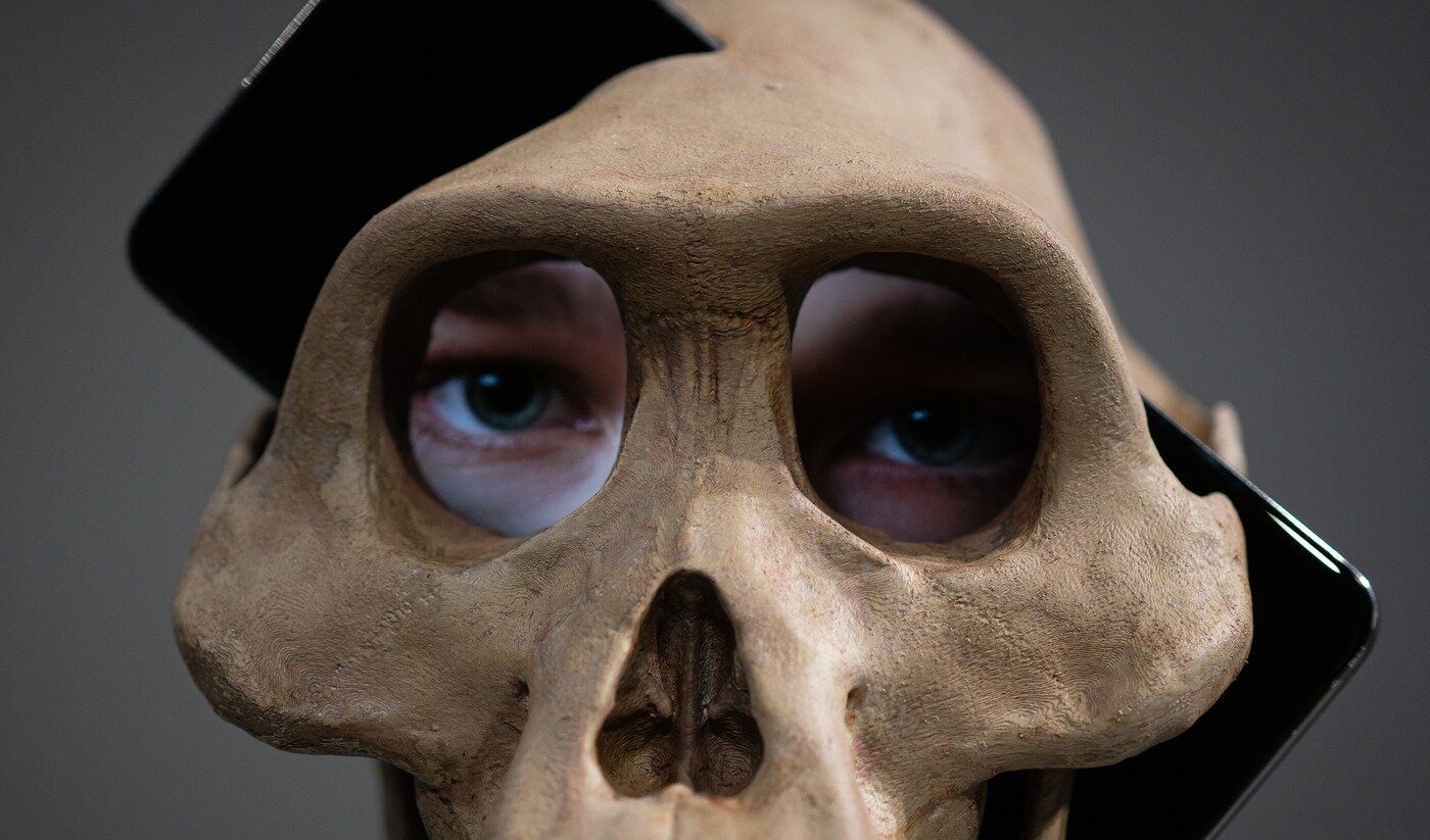 본문 이미지 - 김현석, <루시 1.0>, 2024(2026 개작), 실시간 커스텀 소프트웨어, 컬러, 5채널 사운드, 혼합매체, 가변설치. 3D 데이터 제공_ eLucy (텍사스대학교 오스틴_ 에티오피아 국립박물관), MorphoSource (듀크대학교) (서울시립미술관 제공)