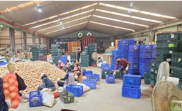 "양파 1000톤 직거래"…식자재협회, 유통개선 모델 입증