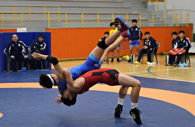 레슬링 국가대표팀 등 250여명 충북 괴산서 합동 담금질