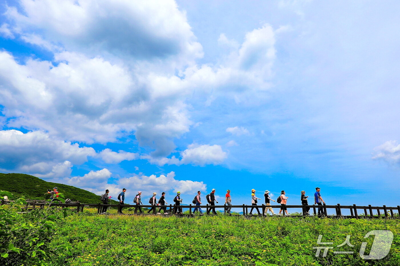 본문 이미지 - 인제 곰배령.(인제군 제공. 재판매 및 DB금지)/뉴스1