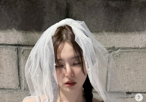 레드벨벳 슬기, 아슬아슬 슬립룩…베일 속 은근한 노출 [N샷]