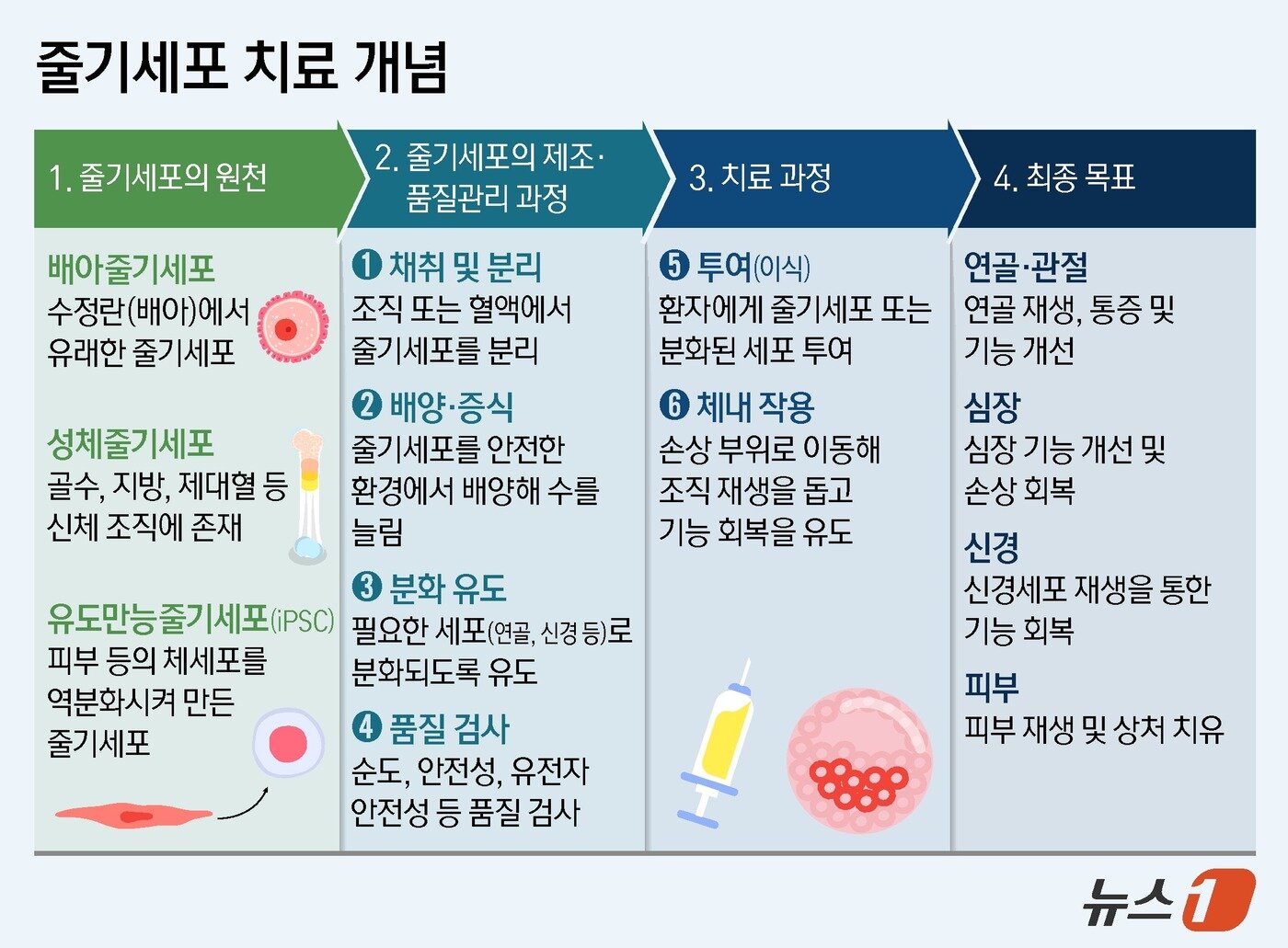 본문 이미지 - ⓒ 뉴스1 양혜림 디자이너