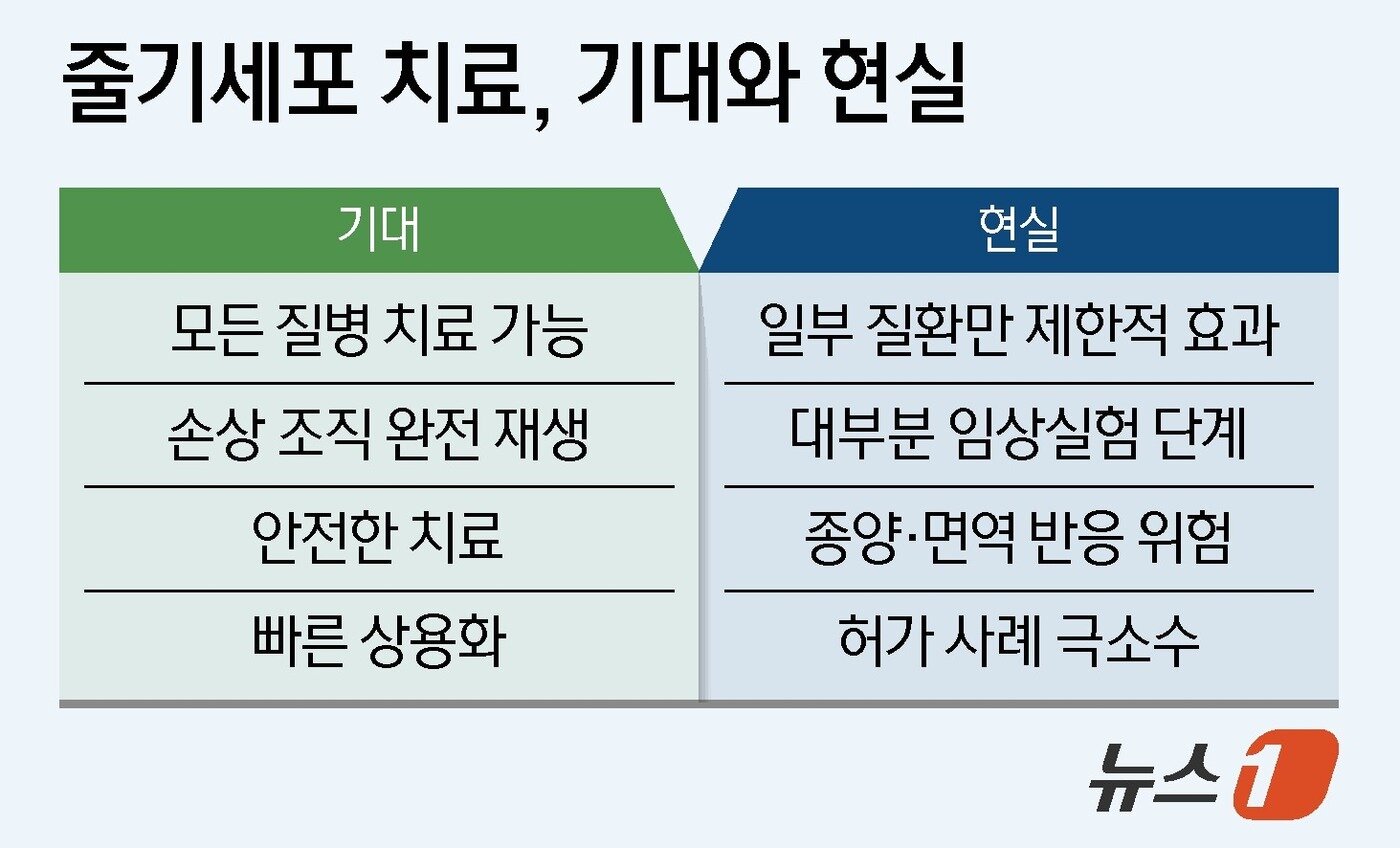 본문 이미지 - ⓒ 뉴스1 양혜림 디자이너