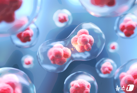 "만병통치 만년기대주"…20년째 실험실 갇힌 줄기세포의 속사정
