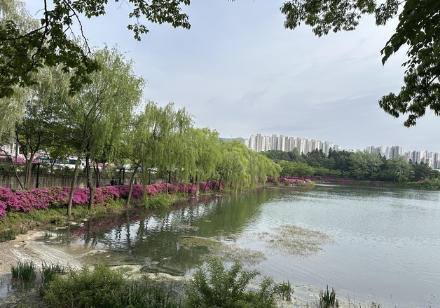 [오늘의 날씨] 충북·세종(30일, 목)…큰 일교차 주의