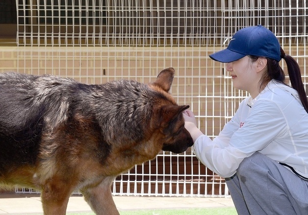 "반려동물 위한 더 나은 세상"…로얄캐닌코리아, 보호소 봉사