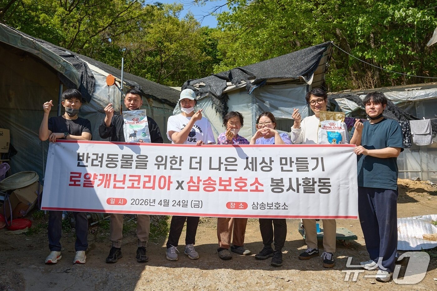본문 이미지 - 로얄캐닌 임직원은 24일 동물보호소에서 봉사활동을 진행했다(로얄캐닌). ⓒ 뉴스1