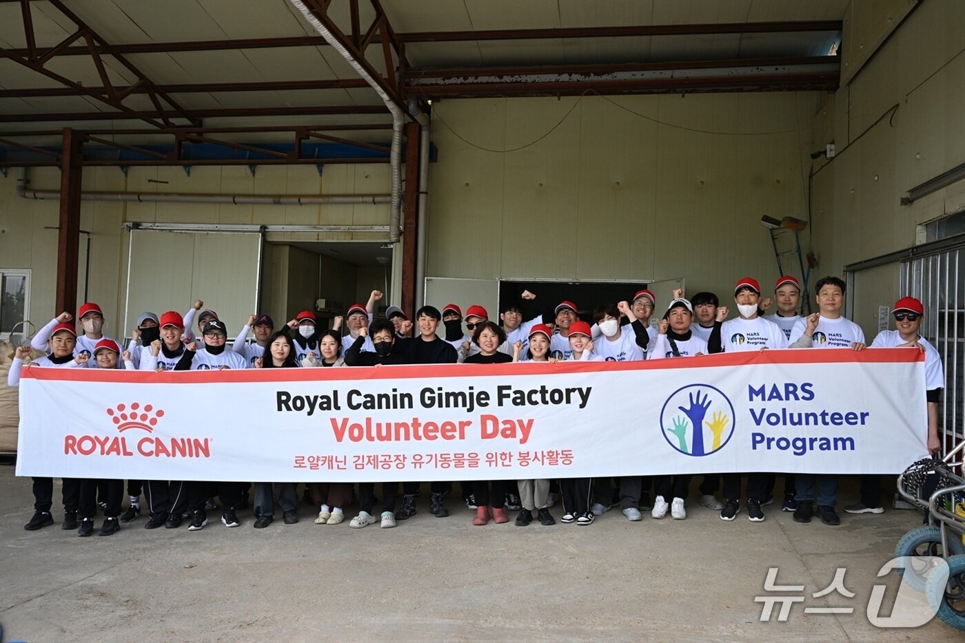 본문 이미지 - 로얄캐닌 임직원은 28일 동물보호소에서 봉사활동을 진행했다(로얄캐닌). ⓒ 뉴스1