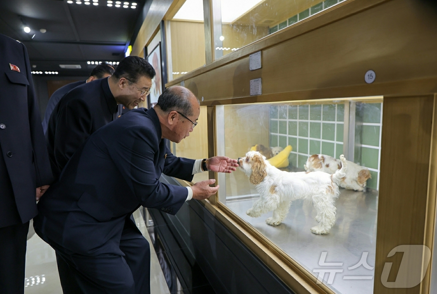 (평양 노동신문=뉴스1) = 북한 노동당 기관지 노동신문은 3일 1면에서 "경애하는 김정은 동지께서 개업을 앞둔 화성지구 4단계 구역의 여러 봉사시설을 둘러보시면서 운영준비정형을 …