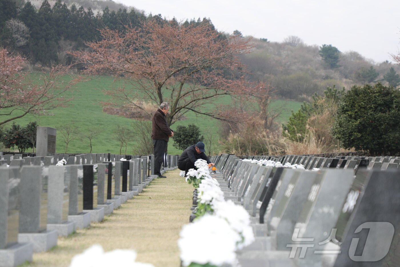 본문 이미지 - 4·3 희생자 추념일인 3일 오전 제주4·3평화공원 행방불명인 표석에서 4·3 희생자 유족들이 제를 지내고 있다. 2026.4.3 ⓒ 뉴스1 오미란 기자