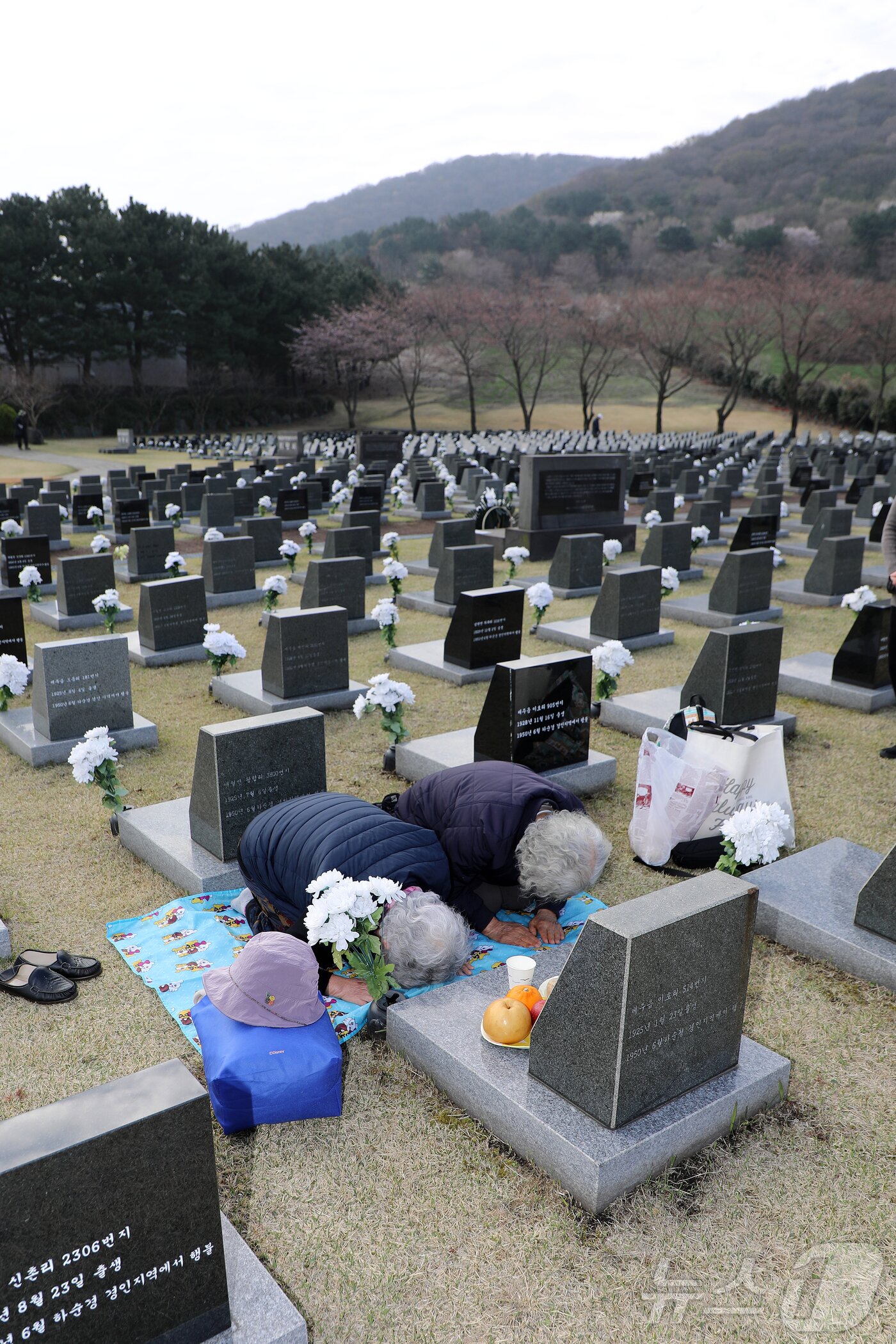 본문 이미지 - 4·3 희생자 추념일인 3일 오전 제주4·3평화공원 행방불명인 표석에서 4·3 희생자 유족들이 제를 지내고 있다. 2026.4.3 ⓒ 뉴스1 오미란 기자