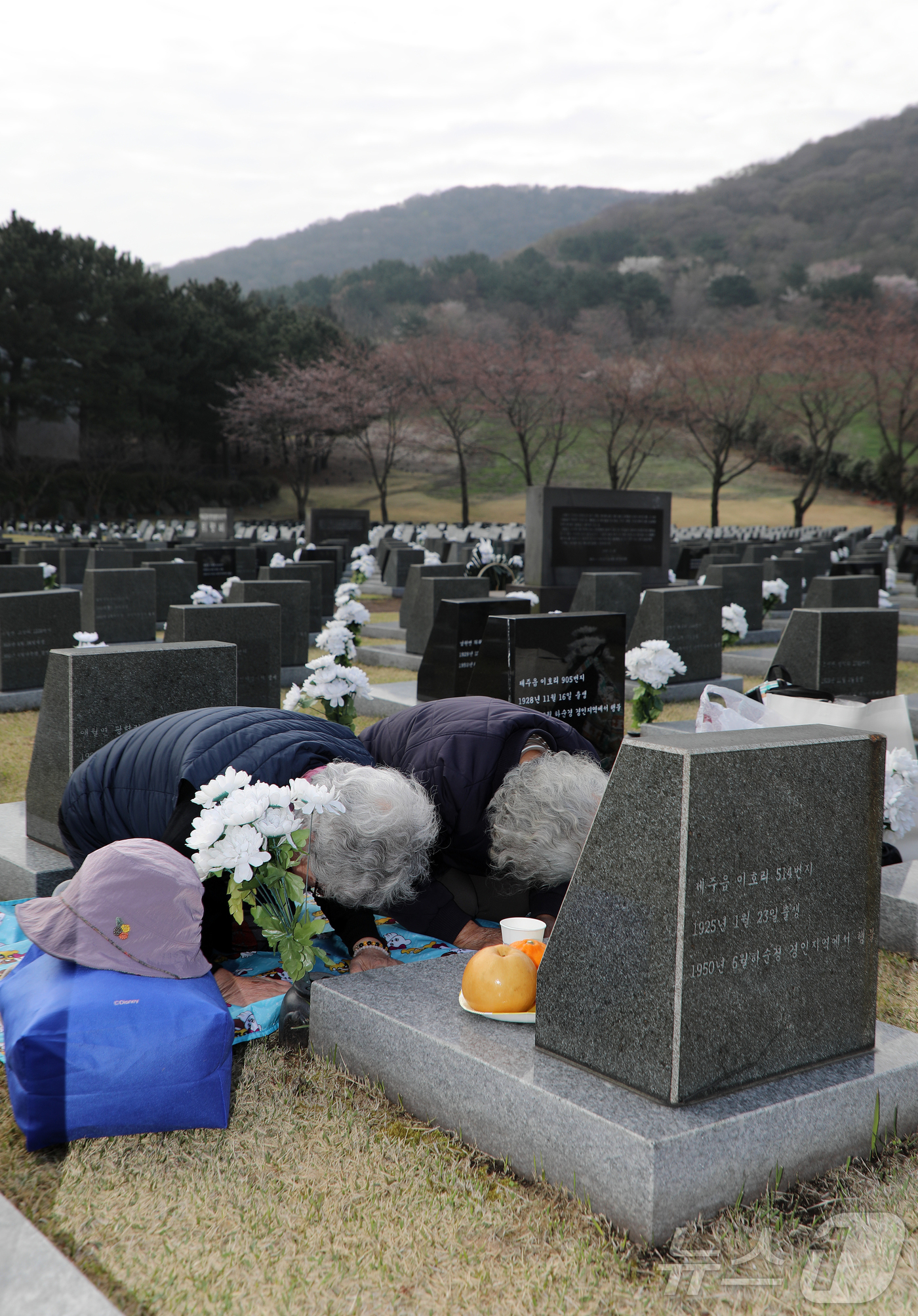 (제주=뉴스1) 오미란 기자 = 4·3 희생자 추념일인 3일 오전 제주4·3평화공원 행방불명인 표석에서 4·3 희생자 유족들이 제를 지내고 있다. 2026.4.3/뉴스1