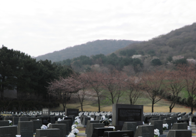 4·3 희생자 추념일 78주년, 넋 기리는 유족들