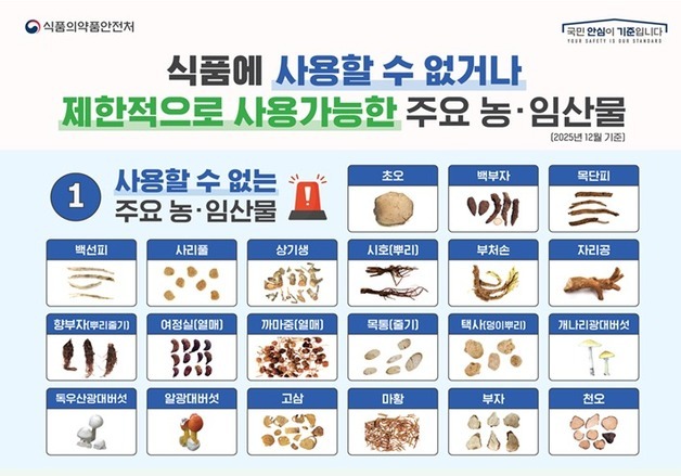 "독성 있는데 건강 차?"…농임산물 불법판매 업체 2곳 적발
