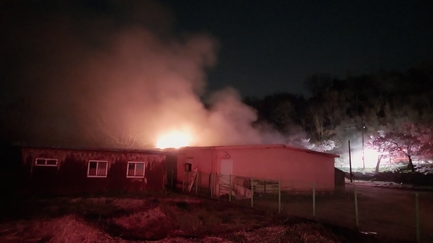 합천·함안 가축농가서 화재 잇따라…1명 화상, 돼지 100마리 폐사