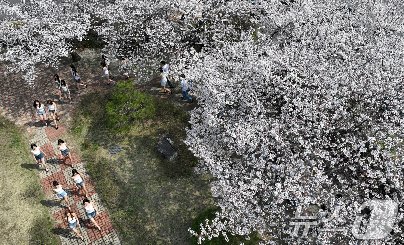 (대전=뉴스1) 김기태 기자 = 3일 대전 유성구 대덕대학교에서 모델과 학생들이 벚꽃 아래서 워킹 수업을 받고 있다.  2026.4.3/뉴스1