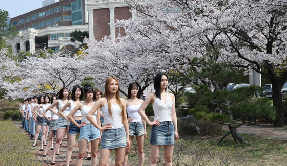 벚꽃 런웨이 워킹