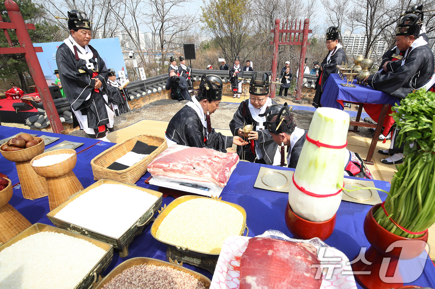 (대구=뉴스1) 공정식 기자 = 3일 오전 대구 수성구 노변동 사직단에서 수성문화재단과 지역 유림이 평안과 풍년을 기원하는 수성사직제를 봉행하고 있다.사직단(社稷壇)은 토지를 주관 …