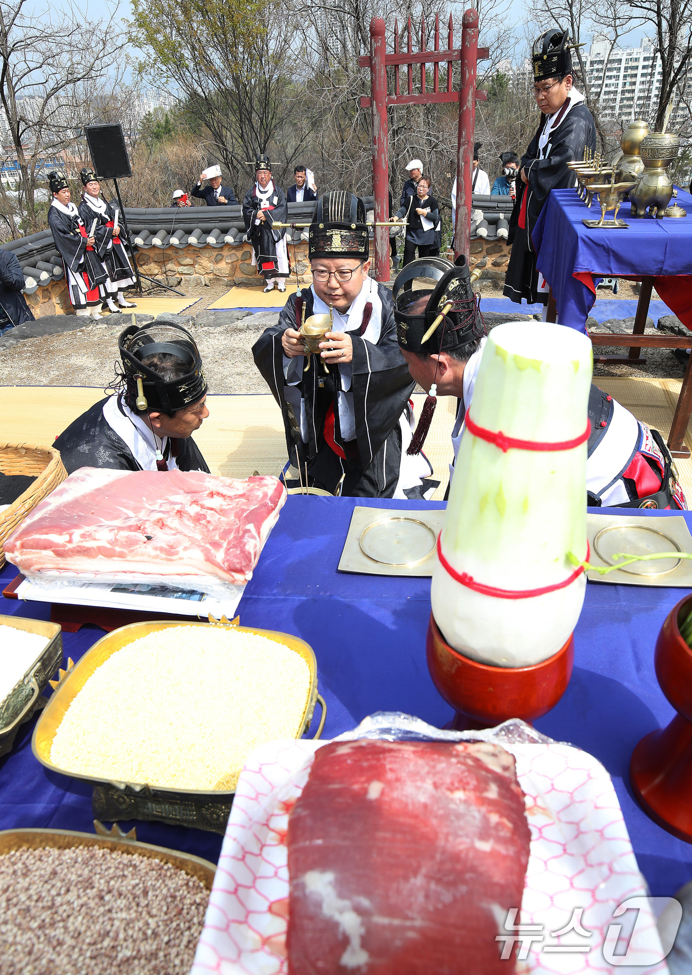 (대구=뉴스1) 공정식 기자 = 3일 오전 대구 수성구 노변동 사직단에서 수성문화재단과 지역 유림이 평안과 풍년을 기원하는 수성사직제를 봉행하고 있다.사직단(社稷壇)은 토지를 주관 …
