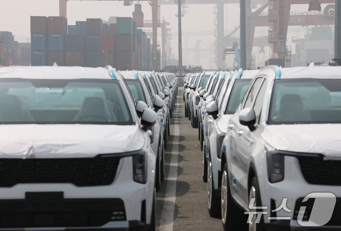 본문 이미지 - 지난 3일 경기 평택시 포승읍 기아 평택항 전용부두에 기아 중형 SUV '쏘렌토'가 세워져 있는 모습(자료사진). 2026.4.3 ⓒ 뉴스1 김영운 기자