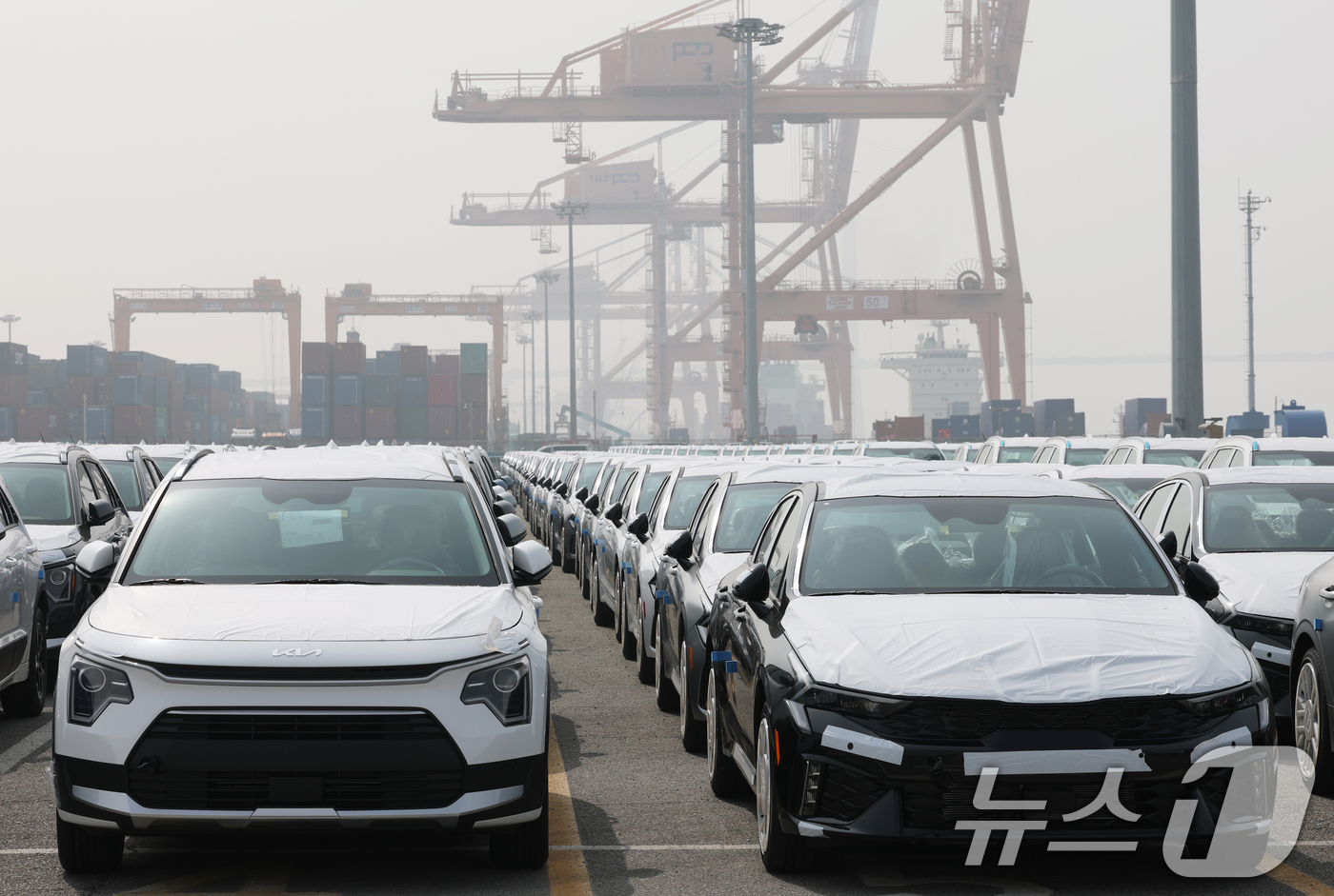 (평택=뉴스1) 김영운 기자 = 3일 경기 평택시 포승읍 기아 평택항 전용부두에 수출용 자동차가 세워져 있다.산업통상부는 이날 중동 전쟁 장기화로 해상운임 급등과 물류 적체가 겹치 …