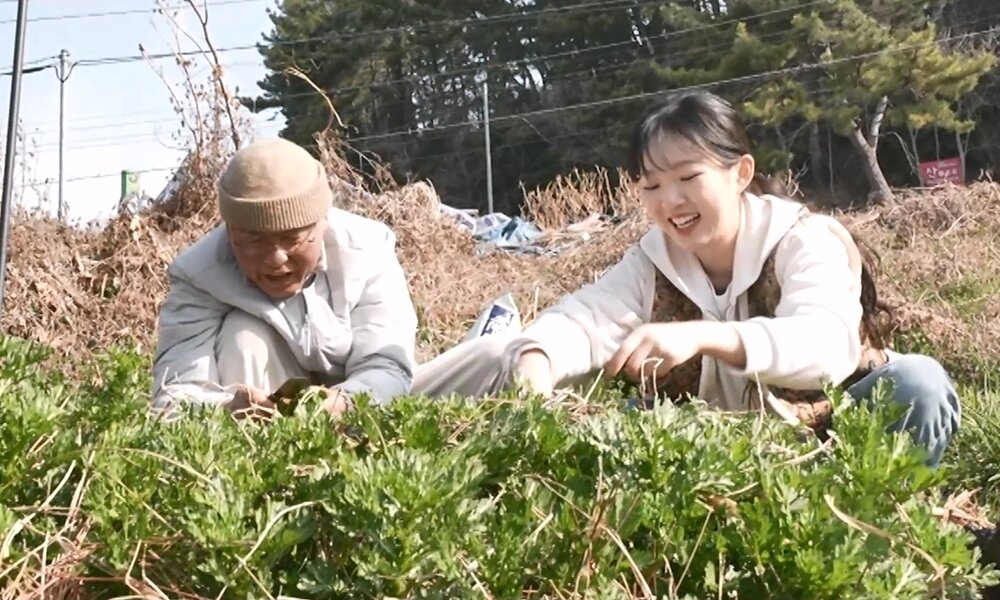 본문 이미지 - MBC