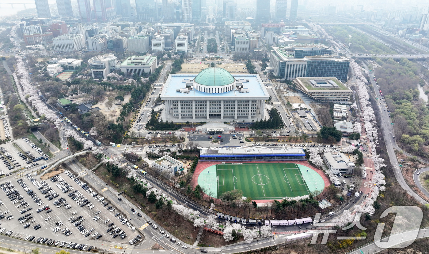 (서울=뉴스1) 최지환 기자 = '여의도 봄꽃축제'가 시작된 3일 서울 여의서로 일대에 벚꽃이 만개해 있다.2026년 여의도 봄꽃축제는 이날부터 7일까지 5일간 개최된다. 2026 …