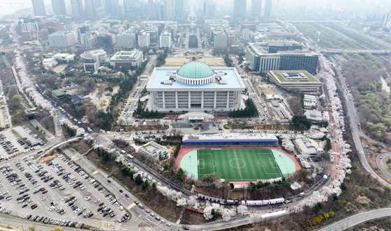 국회 감싼 벚꽃길