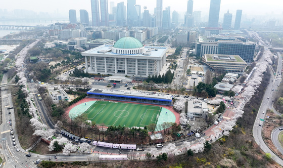 벚꽃 만개한 여의도 봄꽃축제